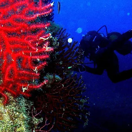 Villaggio Piscina Rei Village de vacances *
